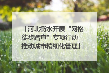 河北衡水开展“网格徒步踏查”专项行动 推动城市精细化管理