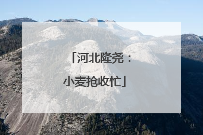河北隆尧：小麦抢收忙