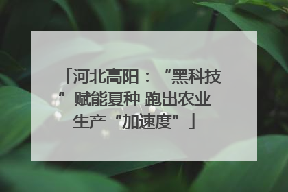 河北高阳：“黑科技”赋能夏种 跑出农业生产“加速度”