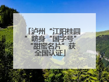 泸州“江阳桂圆”跻身“国字号” “甜蜜名片”获全国认证