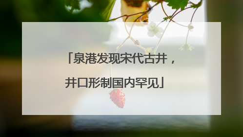泉港发现宋代古井，井口形制国内罕见