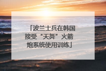 波兰士兵在韩国接受“天舞”火箭炮系统使用训练