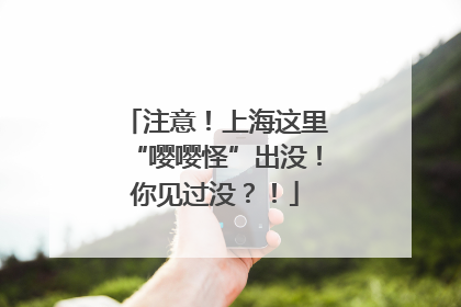 注意！上海这里“嘤嘤怪”出没！你见过没？！