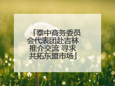 泰中商务委员会代表团赴吉林推介交流 寻求共拓东盟市场