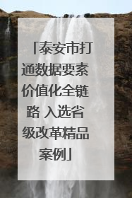 泰安市打通数据要素价值化全链路 入选省级改革精品案例