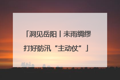 洞见岳阳丨未雨绸缪 打好防汛“主动仗”