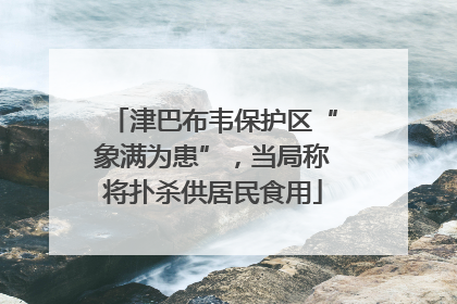 津巴布韦保护区“象满为患”，当局称将扑杀供居民食用