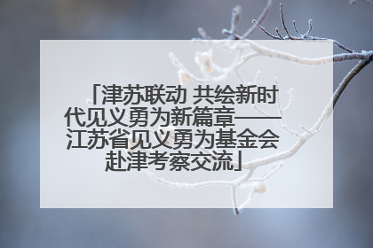 津苏联动 共绘新时代见义勇为新篇章——江苏省见义勇为基金会赴津考察交流