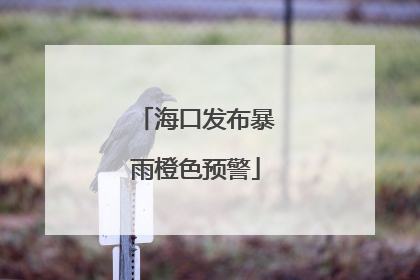 海口发布暴雨橙色预警