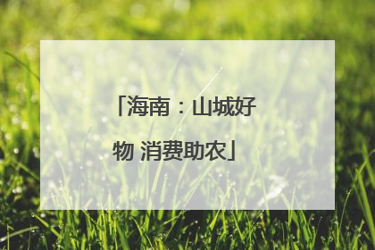 海南：山城好物 消费助农
