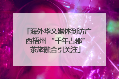 海外华文媒体到访广西梧州 “千年古郡”茶旅融合引关注
