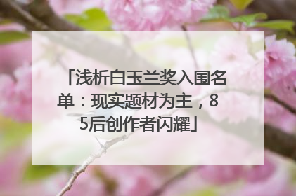浅析白玉兰奖入围名单：现实题材为主，85后创作者闪耀