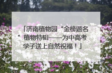 济南植物园“金榜题名”植物特辑——为中高考学子送上自然祝福！