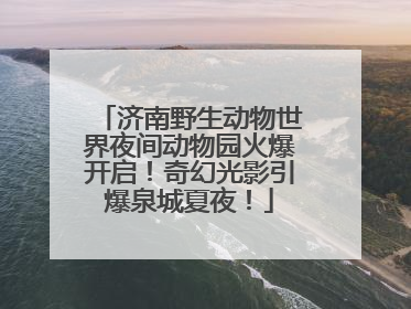 济南野生动物世界夜间动物园火爆开启！奇幻光影引爆泉城夏夜！