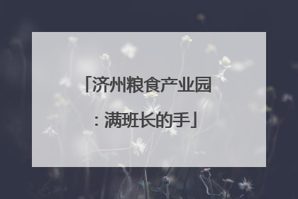 济州粮食产业园：满班长的手