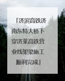 济滨高铁济南东特大桥下穿济莱高铁营业线架梁施工顺利完成