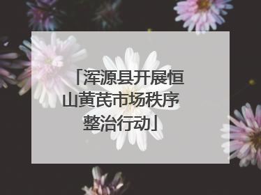 浑源县开展恒山黄芪市场秩序整治行动