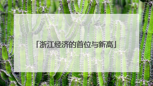 浙江经济的首位与新高