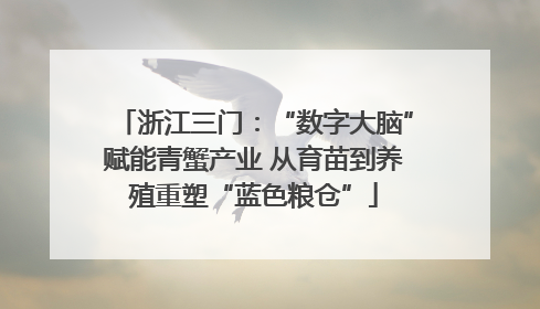 浙江三门：“数字大脑”赋能青蟹产业 从育苗到养殖重塑“蓝色粮仓”