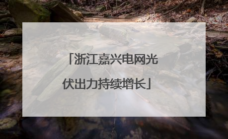 浙江嘉兴电网光伏出力持续增长
