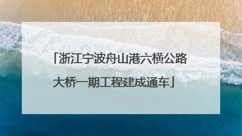 浙江宁波舟山港六横公路大桥一期工程建成通车