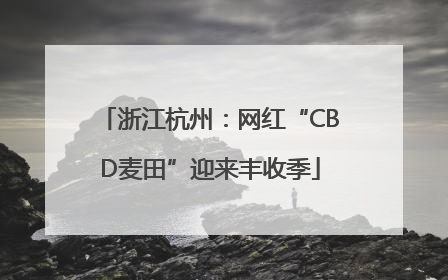 浙江杭州：网红“CBD麦田”迎来丰收季