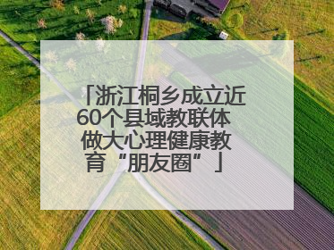 浙江桐乡成立近60个县域教联体 做大心理健康教育“朋友圈”