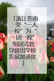 浙江苍南：变“一人一校”为“一团一校” 组团式督导督出学校发展加速度