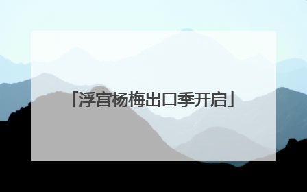 浮宫杨梅出口季开启