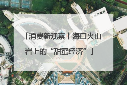 消费新观察丨海口火山岩上的“甜蜜经济”