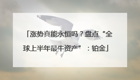 涨势真能永恒吗？盘点“全球上半年最牛资产”：铂金