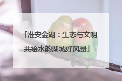 淮安金湖：生态与文明共绘水韵湖城好风景