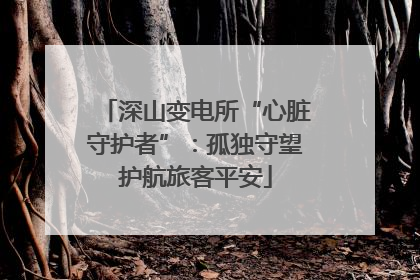 深山变电所“心脏守护者”：孤独守望护航旅客平安