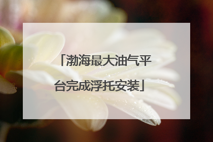 渤海最大油气平台完成浮托安装