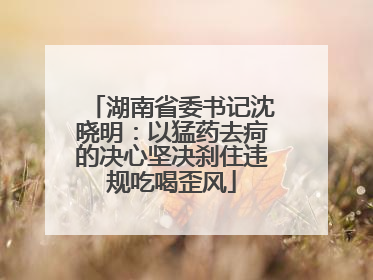湖南省委书记沈晓明：以猛药去疴的决心坚决刹住违规吃喝歪风