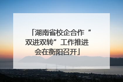 湖南省校企合作“双进双转”工作推进会在衡阳召开