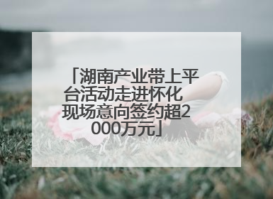 湖南产业带上平台活动走进怀化 现场意向签约超2000万元