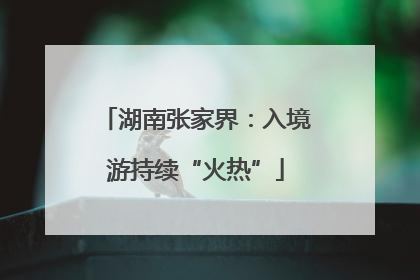 湖南张家界：入境游持续“火热”