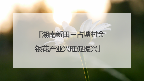 湖南新田三占塘村金银花产业兴旺促振兴