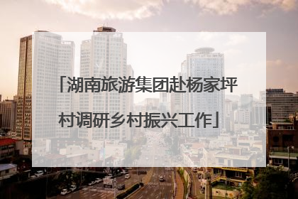 湖南旅游集团赴杨家坪村调研乡村振兴工作