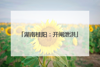 湖南桂阳：开闸泄洪