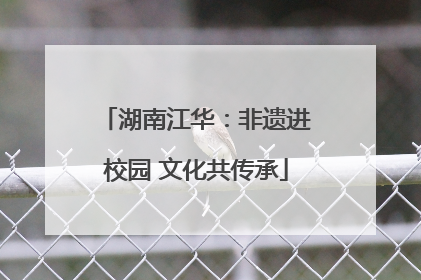 湖南江华：非遗进校园 文化共传承