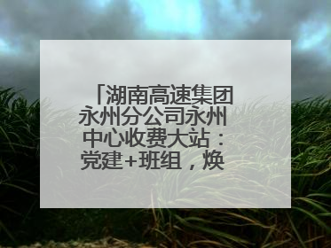 湖南高速集团永州分公司永州中心收费大站：党建+班组，焕发内在活力