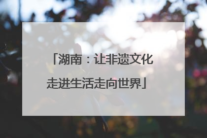 湖南：让非遗文化走进生活走向世界