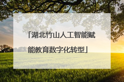 湖北竹山人工智能赋能教育数字化转型