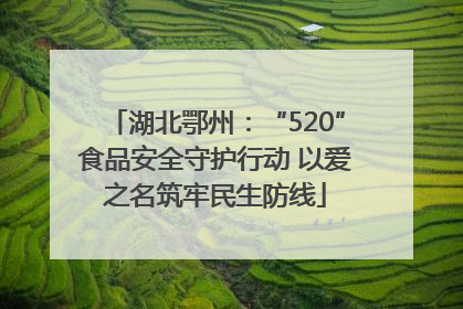 湖北鄂州：“520”食品安全守护行动 以爱之名筑牢民生防线