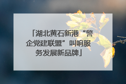 湖北黄石新港“警企党建联盟”叫响服务发展新品牌