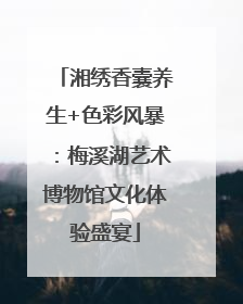 湘绣香囊养生+色彩风暴：梅溪湖艺术博物馆文化体验盛宴