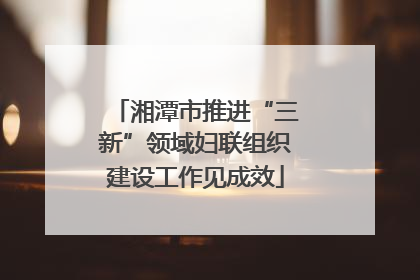 湘潭市推进“三新”领域妇联组织建设工作见成效