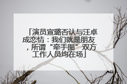 演员宣璐否认与汪卓成恋情：我们就是朋友，所谓“牵手图”双方工作人员均在场